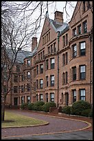 Harvard University buildings, Harvard University, Cambridge. Boston, Massachussets, USA (color)