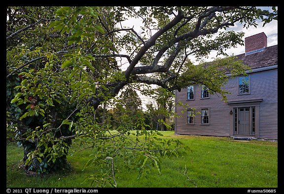 Tree and Samuel Brooks House, Minute Man National Historical Park. Massachussets, USA