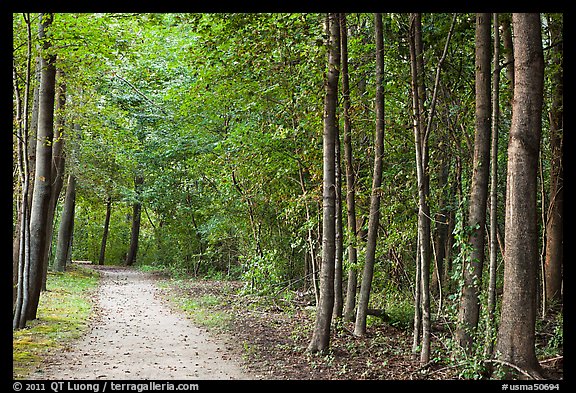 Battle road near Meriams Corner, Minute Man National Historical Park. Massachussets, USA