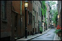 Narrow street on Beacon Hill. Boston, Massachussets, USA ( color)