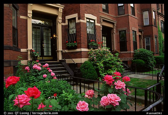 Roses and brick houses on Beacon Hill. Boston, Massachussets, USA