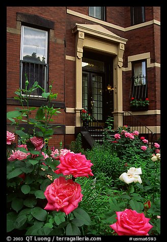 Flowers and brick houses on Beacon Hill. Boston, Massachussets, USA