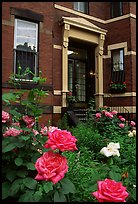 Flowers and brick houses on Beacon Hill. Boston, Massachussets, USA