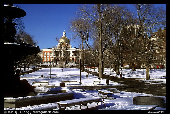 Boston common in winter. Boston, Massachussets, USA