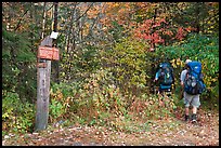 Backpackers hiking into autumn woods at Appalachian trail marker. Maine, USA ( color)