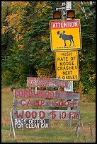 Moose warning a wood for sale signs. Maine, USA (color)