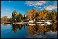 Seaplanes and autumn foliage, West Cove, late afternoon, Greenville. Maine, USA (color)