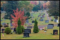 Grassy cemetery in the fall, Greenville. Maine, USA ( color)