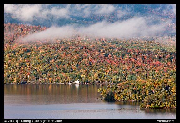 Shore, autumn forest, and clouds. Maine, USA (color)