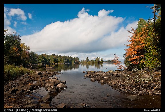 Stream, trees in fall color, Beaver Cove. Maine, USA