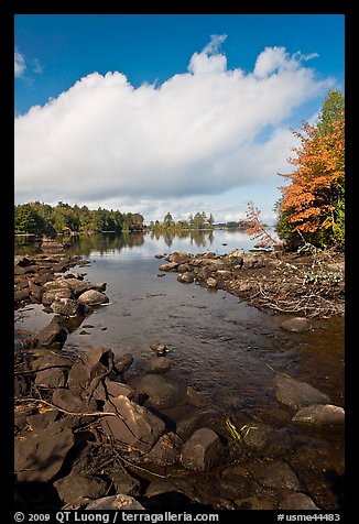 Stream, trees in autumn foliage, Beaver Cove. Maine, USA