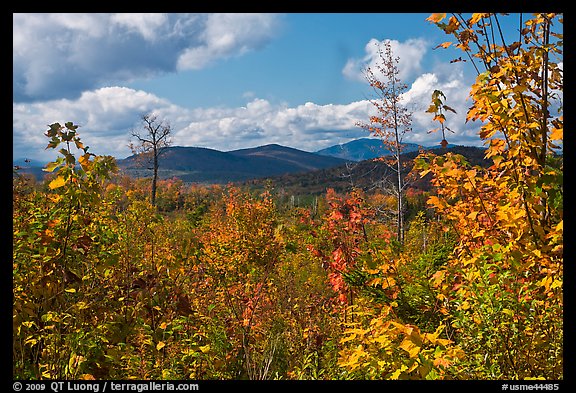 Autumn landscape with colorful leaves and distant mountains. Maine, USA