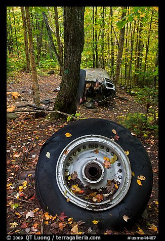 Wheel and fuselage part from crashed B-52 in forest. Maine, USA