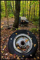 Wheel and fuselage part from crashed B-52 in forest. Maine, USA