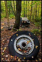 Wheel and fuselage part from crashed B-52 in forest. Maine, USA (color)