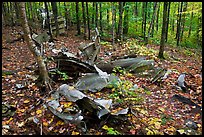 B-52 wreck scattered in autum forest. Maine, USA (color)