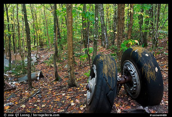 Landing gear of crashed B-52 in woods. Maine, USA