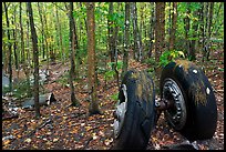 Landing gear of crashed B-52 in woods. Maine, USA (color)