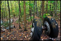 Landing gear of crashed B-52 in woods. Maine, USA