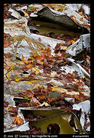 Fall leaves on wreck of crashed B-52. Maine, USA