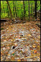 Wreckage of B-52 on Elephant Mountain. Maine, USA