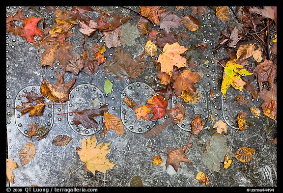 Detail of B-52 airplane part with fallen leaves. Maine, USA