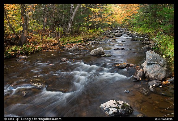 Stream in autumn near Elephant Mountain. Maine, USA