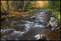 Stream in autumn near Elephant Mountain. Maine, USA ( color)