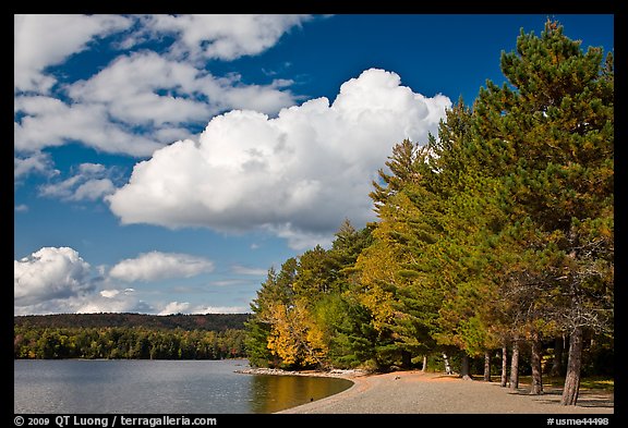 Beach on Moosehead lakeshore, Lily Bay State Park. Maine, USA (color)