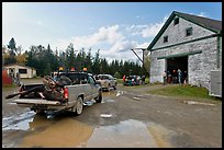 Trucks with moose lining up at checking station, Kokadjo. Maine, USA