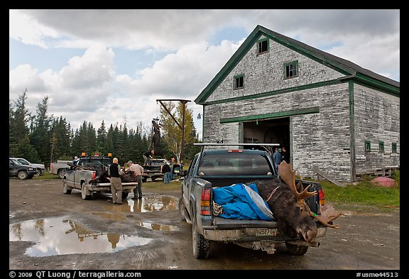 Game checking station, Kokadjo. Maine, USA (color)