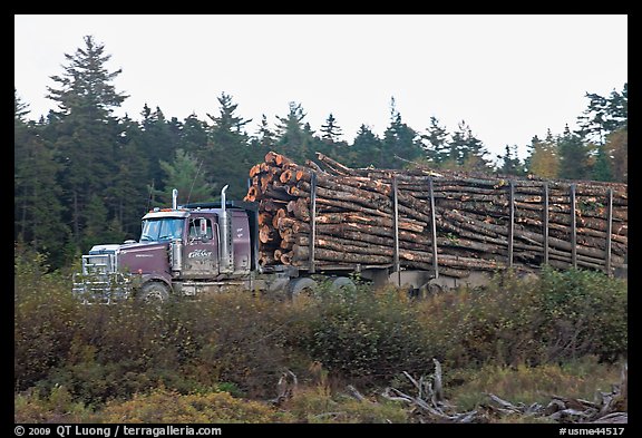 Truck loaded with tree logs. Maine, USA