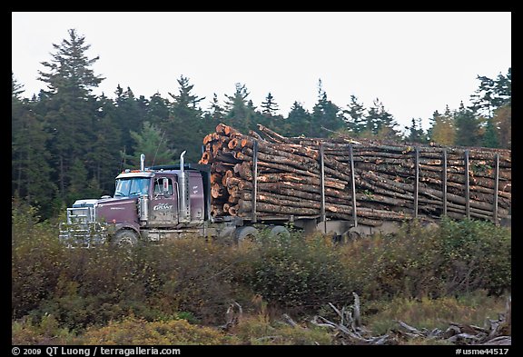 Truck loaded with tree logs. Maine, USA (color)