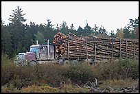 Truck loaded with tree logs. Maine, USA ( color)