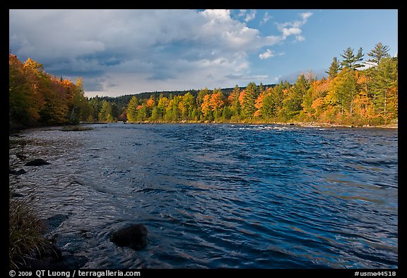 Fast-flowing Penobscot River and fall foliage. Maine, USA