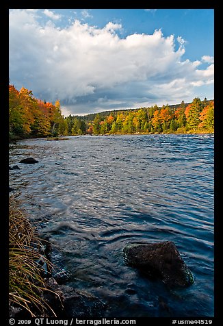Penobscot River in autumn, late afternoon. Maine, USA