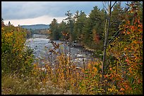 Penobscot River in the fall. Maine, USA