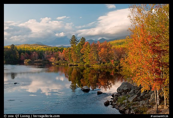 Trees in fall foliage reflected in wide  Penobscot River. Maine, USA (color)