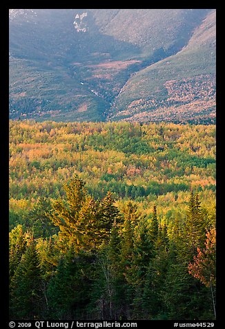 Forested slopes of Mount Katahdin. Baxter State Park, Maine, USA (color)