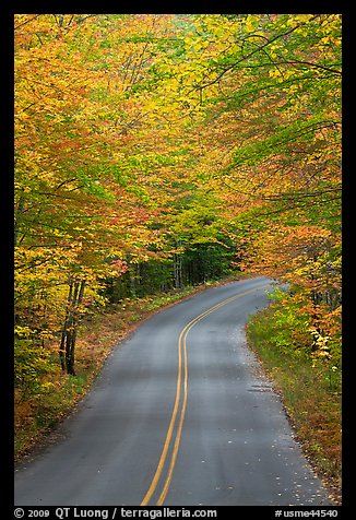 Road near entrance of Baxter State Park, autumn. Baxter State Park, Maine, USA (color)