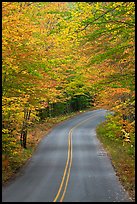 Road near entrance of Baxter State Park, autumn. Baxter State Park, Maine, USA