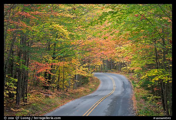 Fall foliage and road near entrance of Baxter State Park. Baxter State Park, Maine, USA (color)