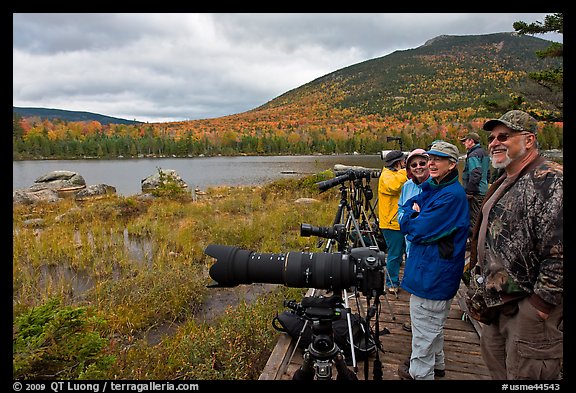 Wildlife photographers on observation platform, Sandy Stream Pond. Baxter State Park, Maine, USA (color)