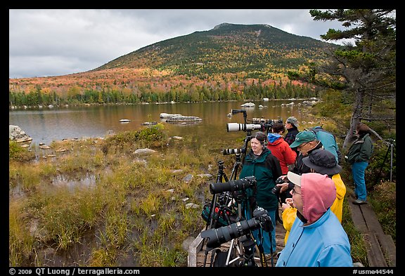 Photographers waiting for moose, Sandy Stream Pond. Baxter State Park, Maine, USA