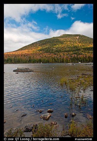 Forested mountain with fall foliage and pond. Baxter State Park, Maine, USA (color)