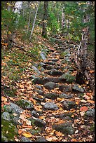 Steep trail paved irregularly with stones. Baxter State Park, Maine, USA