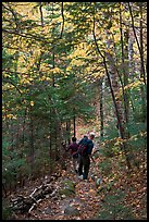 Hikers descend steep trail in forest. Baxter State Park, Maine, USA ( color)
