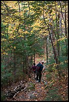 Hikers descend steep trail in forest. Baxter State Park, Maine, USA