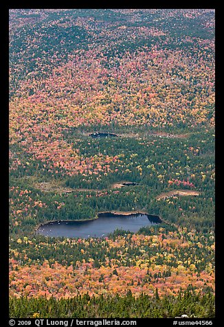 Elevated view of Whidden ponds surrounded by forest in fall foliage. Baxter State Park, Maine, USA (color)