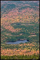 Elevated view of Whidden ponds surrounded by forest in fall foliage. Baxter State Park, Maine, USA ( color)